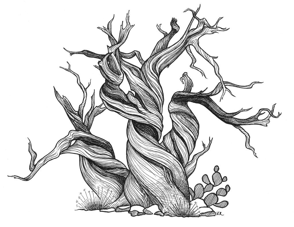 Juniper - Tree 2024 3: A3+ & A2 Limited Edition Giclée Print, Art Print, Tree Drawing, Mother Nature