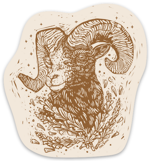 "Big Horn Sheep" Sticker By Holls Walck