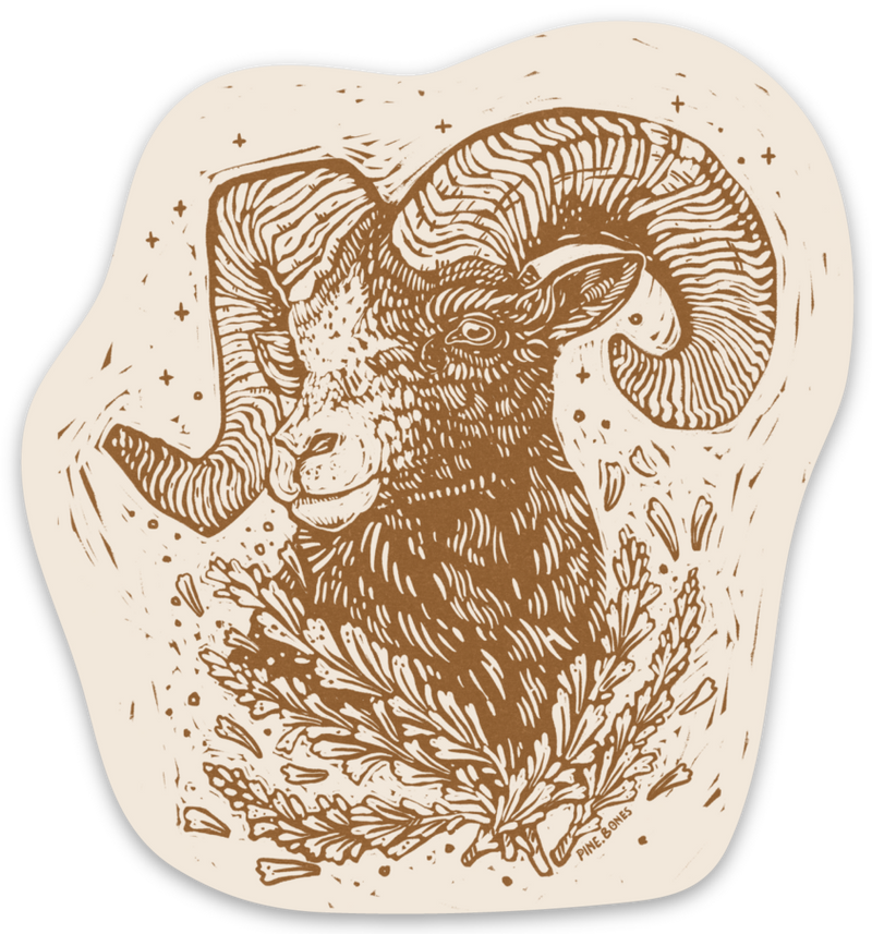 "Big Horn Sheep" Sticker By Holls Walck