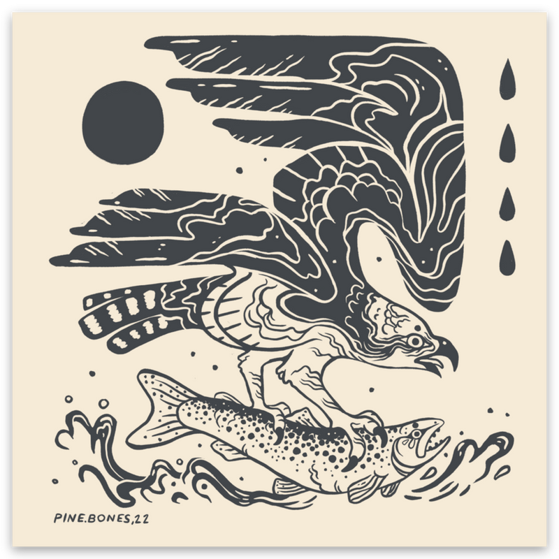 "Osprey" Sticker By Holls Walck