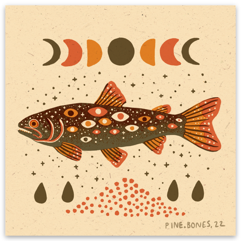 "Trout" Sticker By Holls Walck