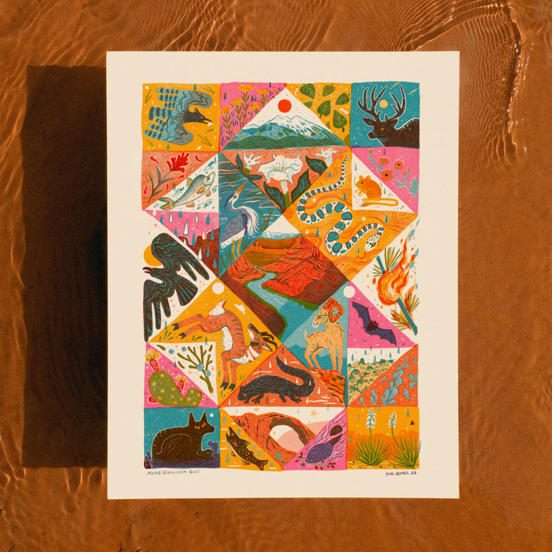 "Moab Ecosystem" 11x14 Art Print by Pine Bones