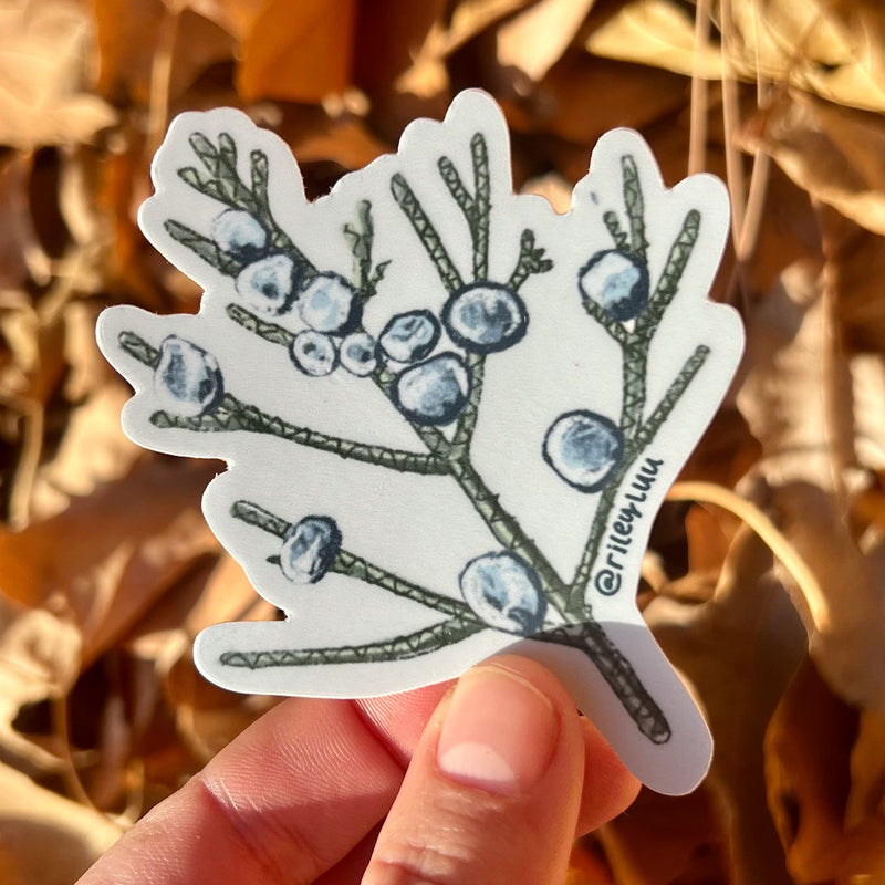 "Juniper" Sticker by Riley Lubich