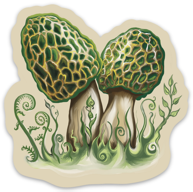 "Morel" Sticker By Tamar Phillips