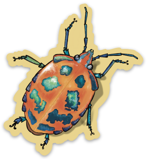 "Harlequin Bug" Sticker By Tamar Phillips