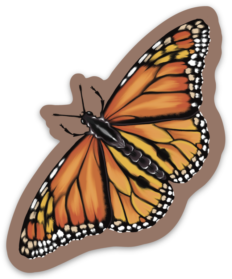 "Monarch" Sticker By Tamar Phillips