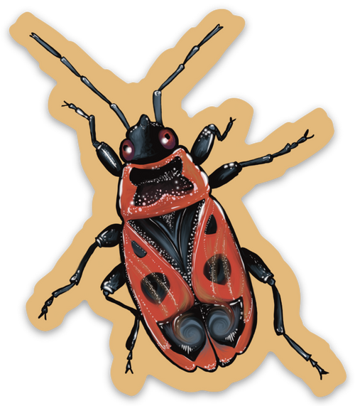 "Fire Bug" Sticker By Tamar Phillips