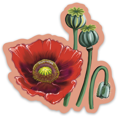 "Red Poppy" Sticker By Tamar Phillips