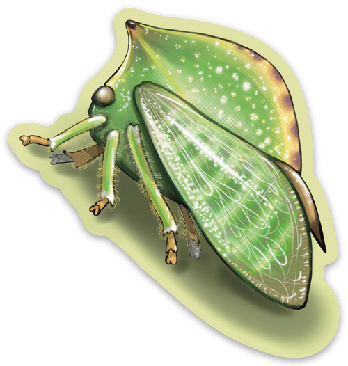 "Tree Hopper" Sticker By Tamar Phillips