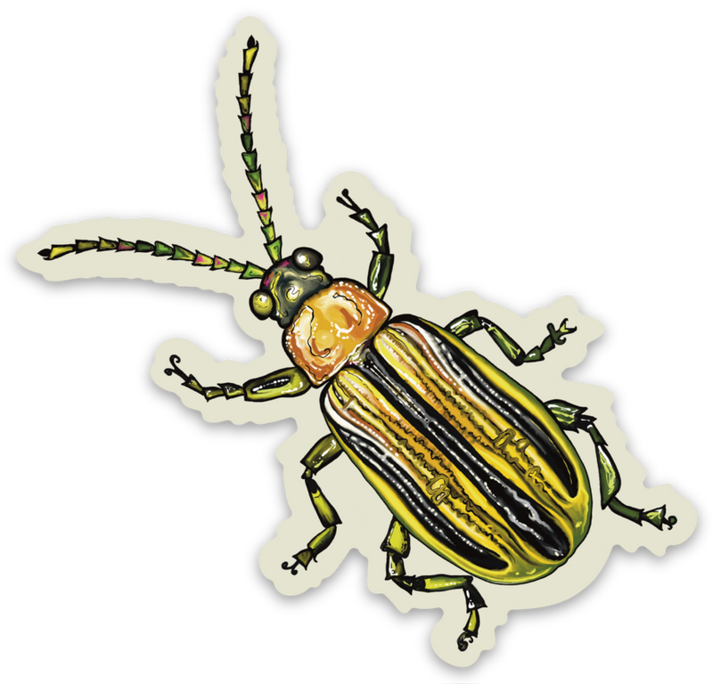 "Cucumber Bug" Sticker By Tamar Phillips