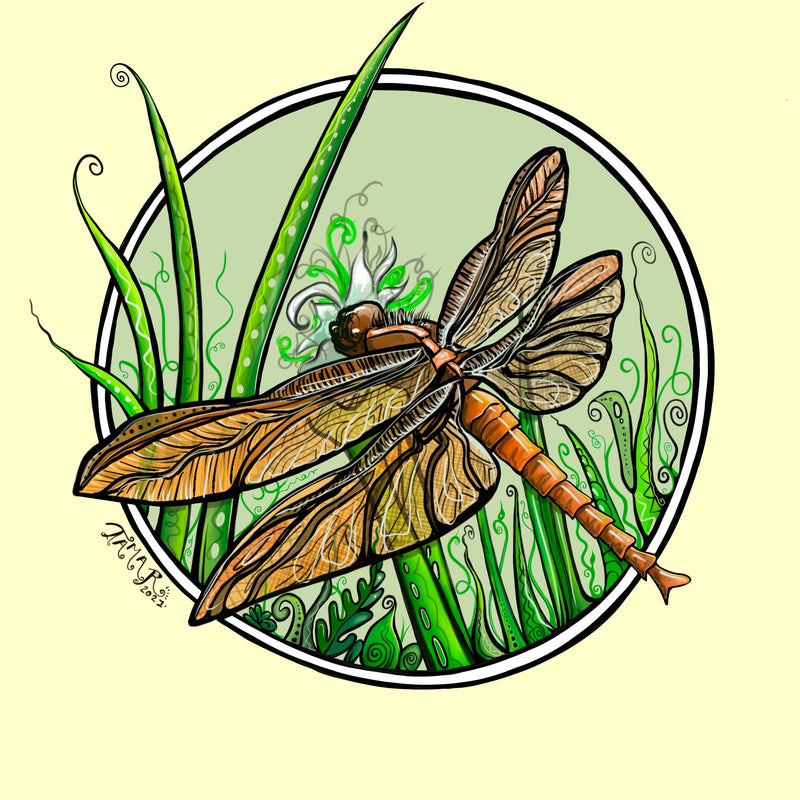 "Amber Wing" Art by Tamar Phillips